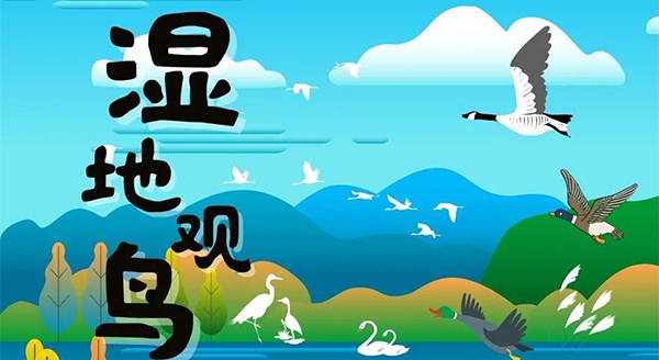 【獨(dú)立觀鳥一日營】走進(jìn)白馬湖濕地，一起來探尋鳥兒的秘密